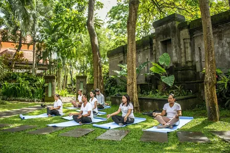 Harmony Morning Yoga
